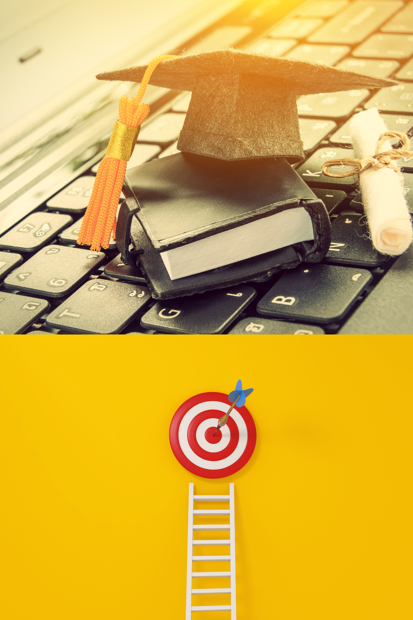 OLG 194 Online Learning Success for Universal Learners