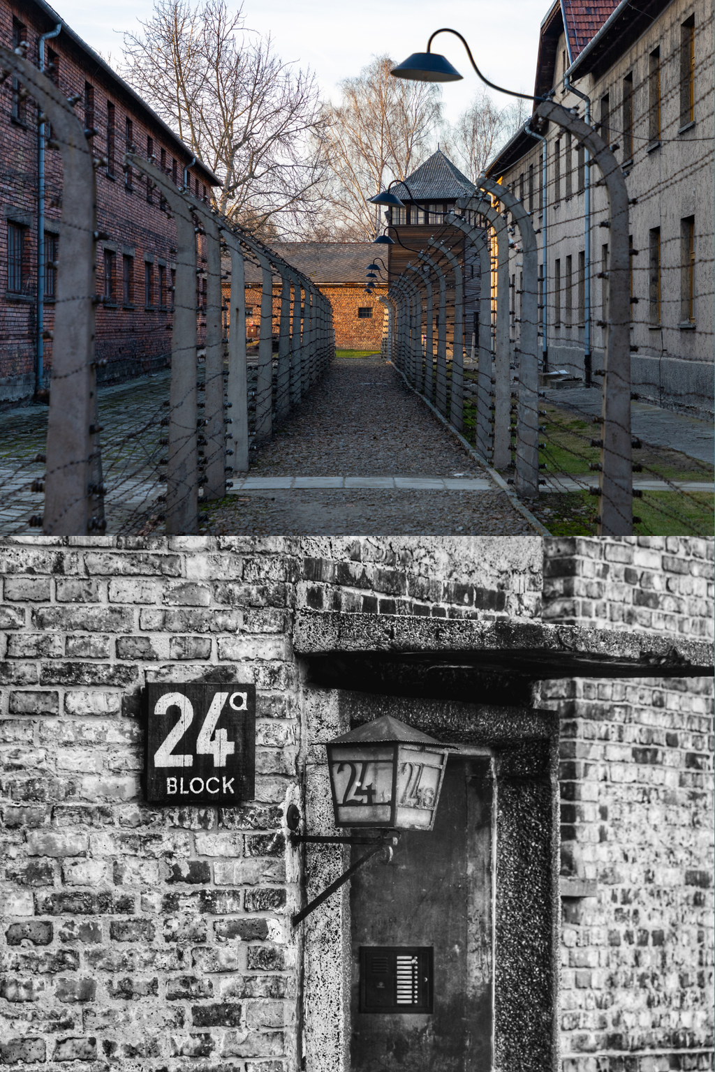 HST 194 Genocide History: Holocaust and Genocide