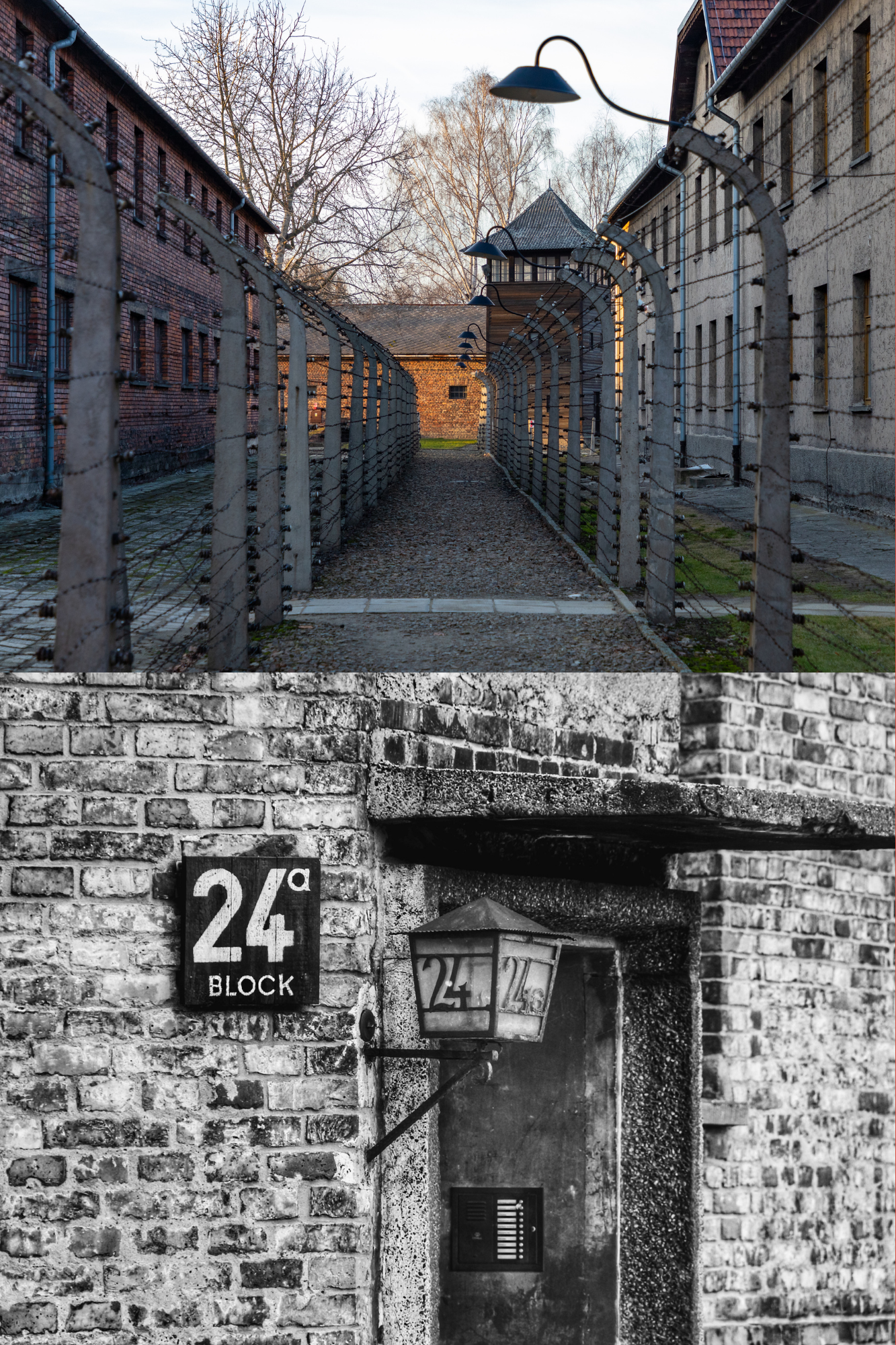 HST 194 Genocide History: Holocaust and Genocide