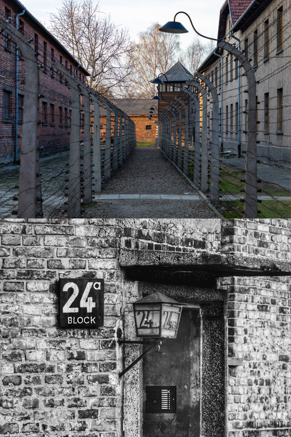 HST 194 Genocide History: Holocaust and Genocide