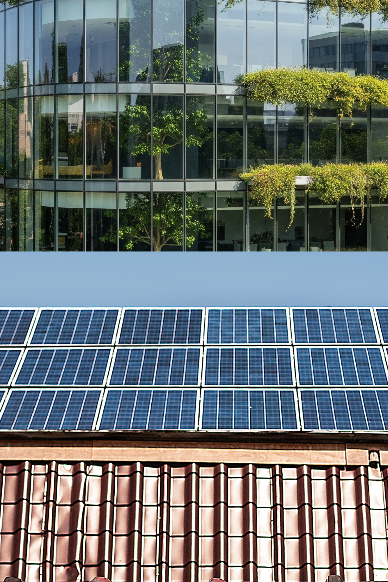 SOS 100 Introduction to Sustainability