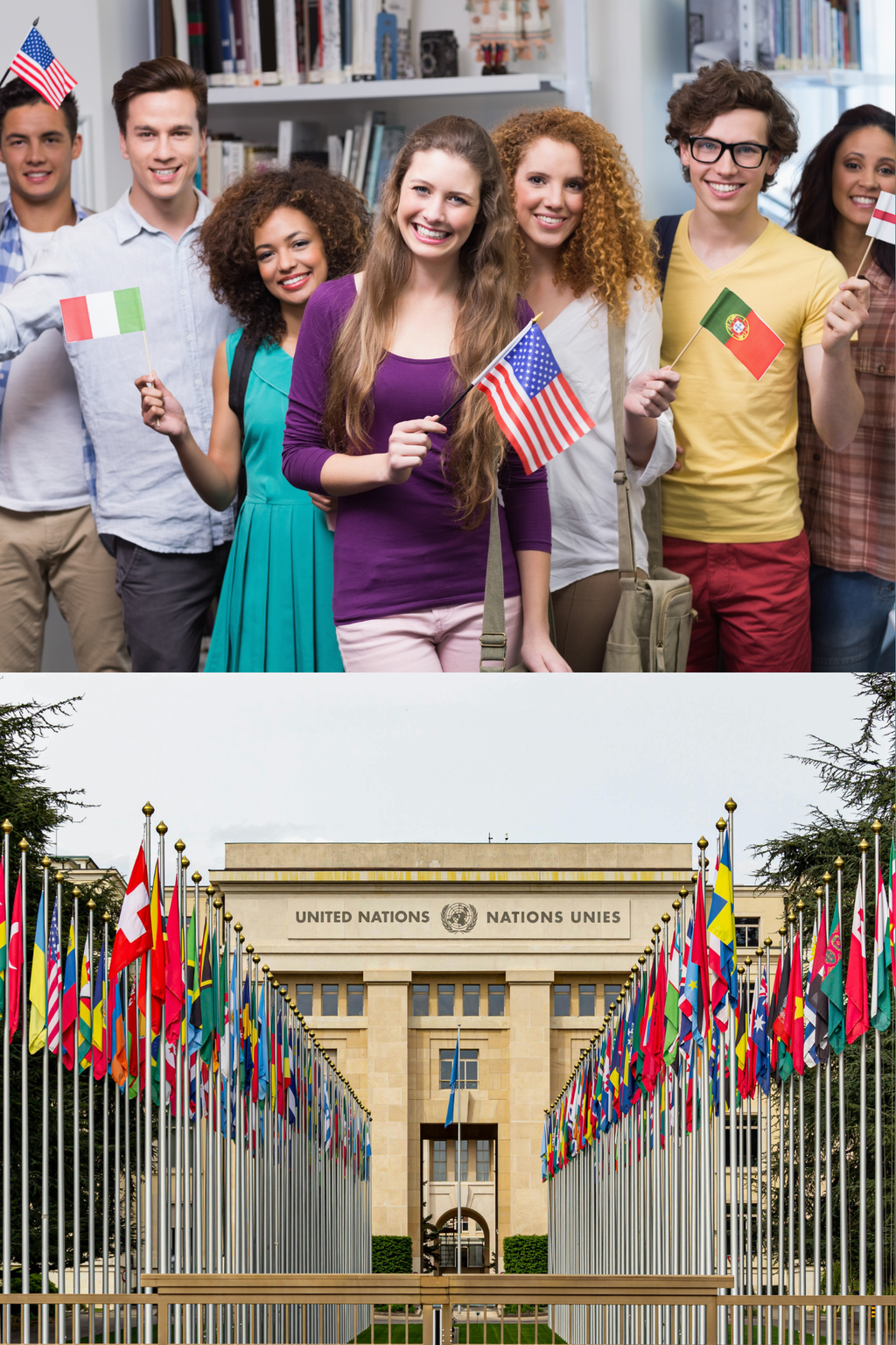 INR 194 Introduction to Global Affairs