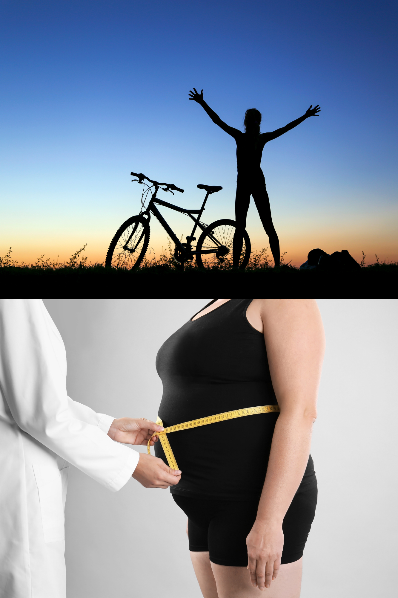 HEP 100 Introduction to Health and Wellness