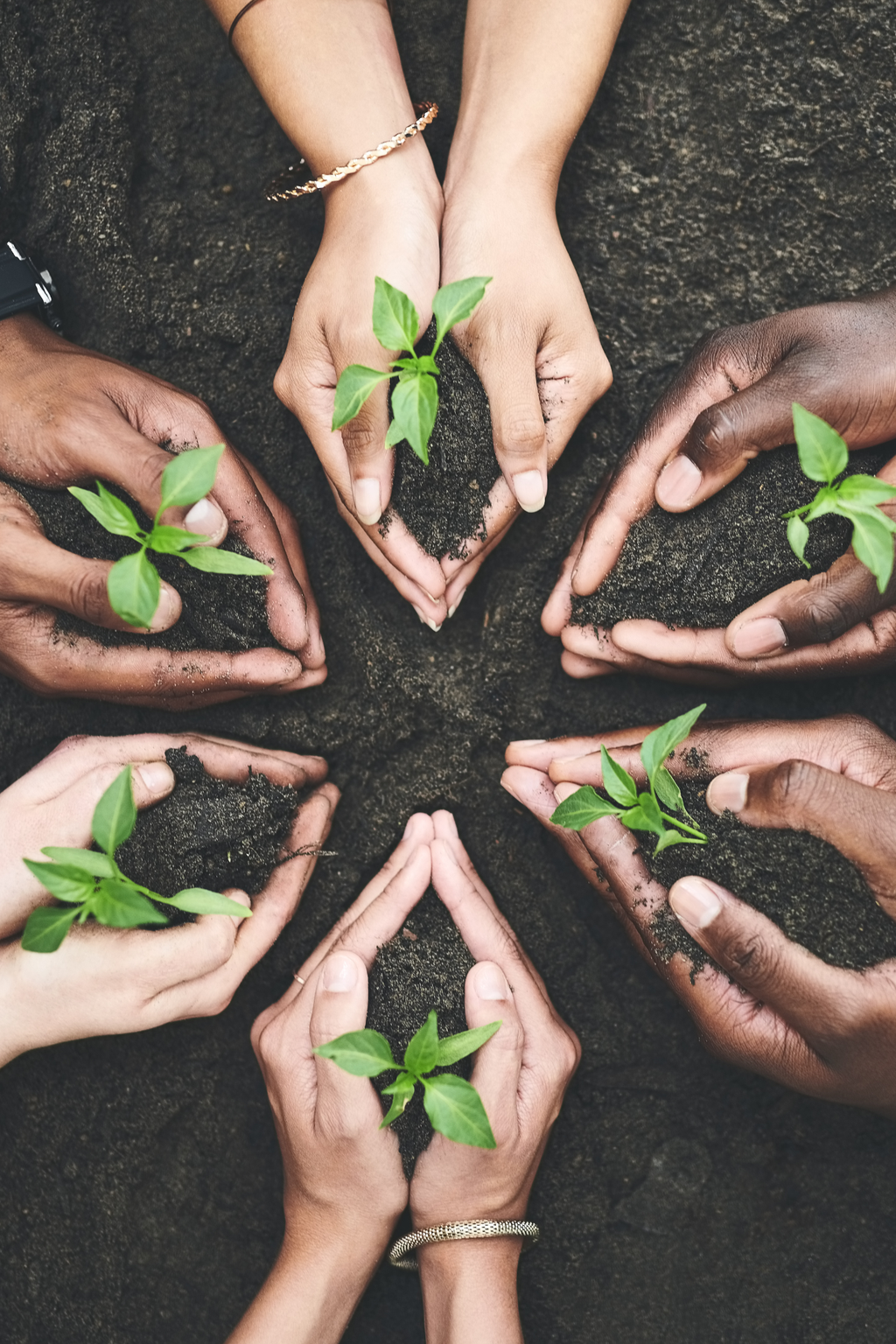 SOS 100 Introduction to Sustainability