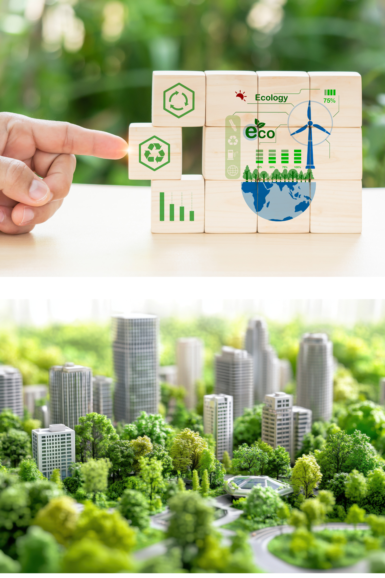 SOS 100 Introduction to Sustainability