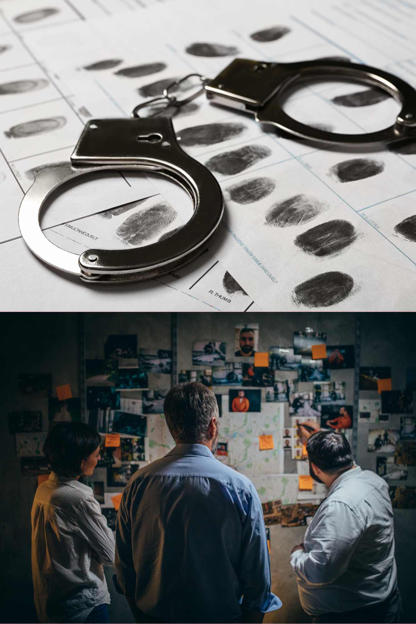 CRJ 100 Introduction to Criminal Justice