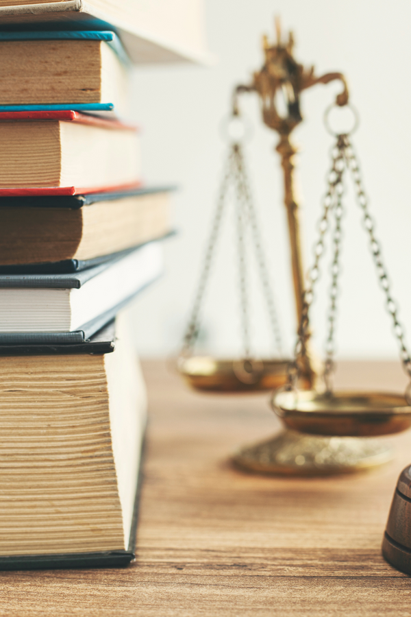 CRJ 100 Introduction to Criminal Justice