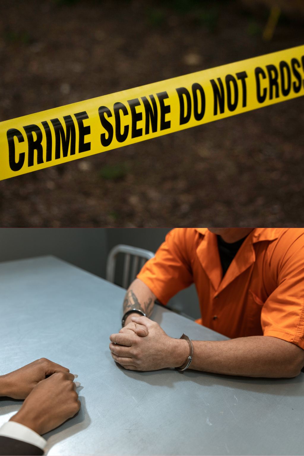 CRJ 100 Introduction to Criminal Justice