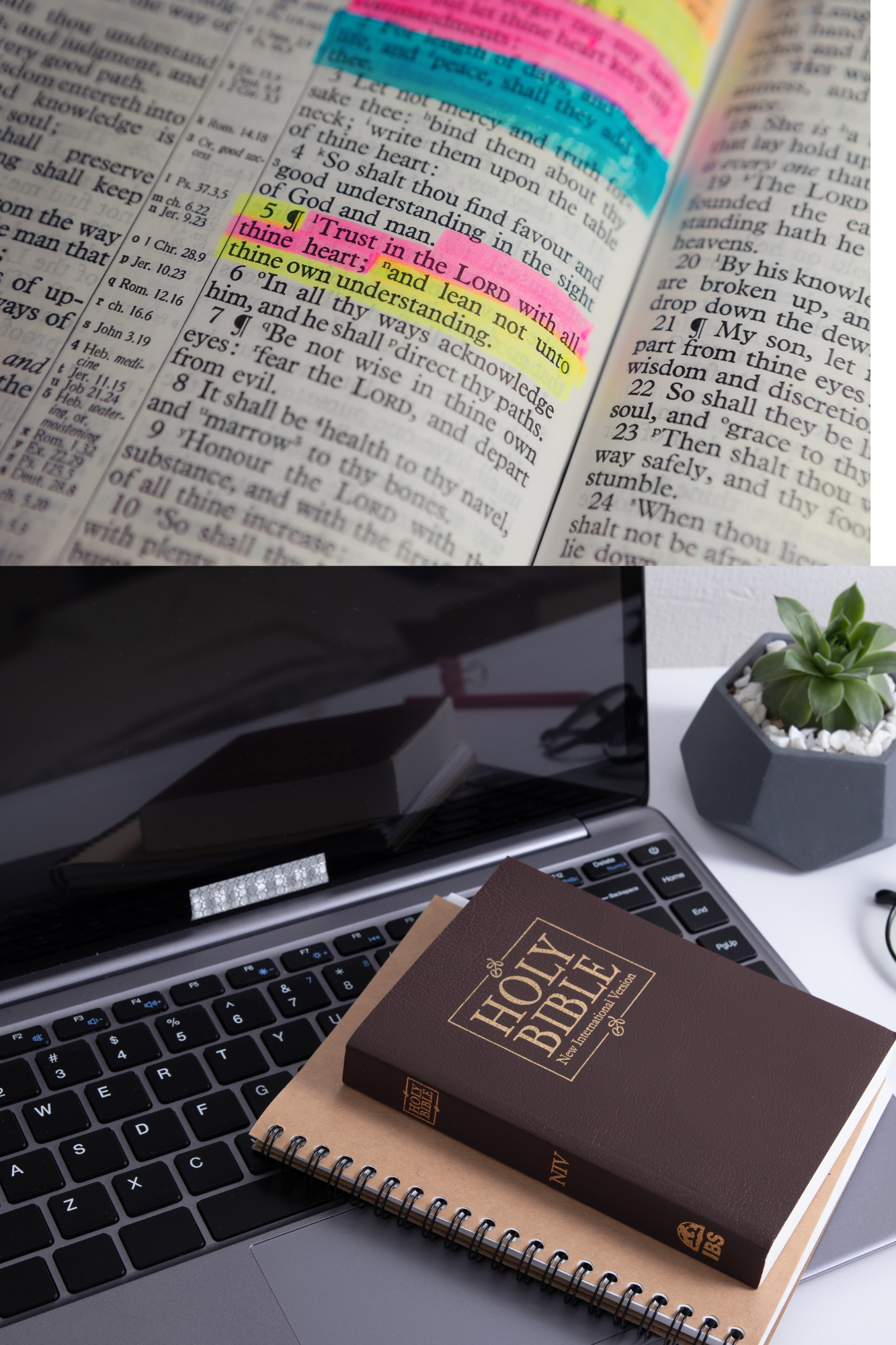 CST 100 Overview of the Bible