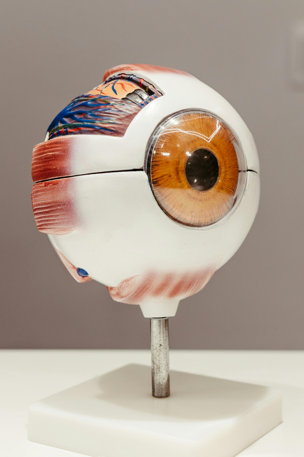 BIO 160 Introduction to Anatomy & Physiology