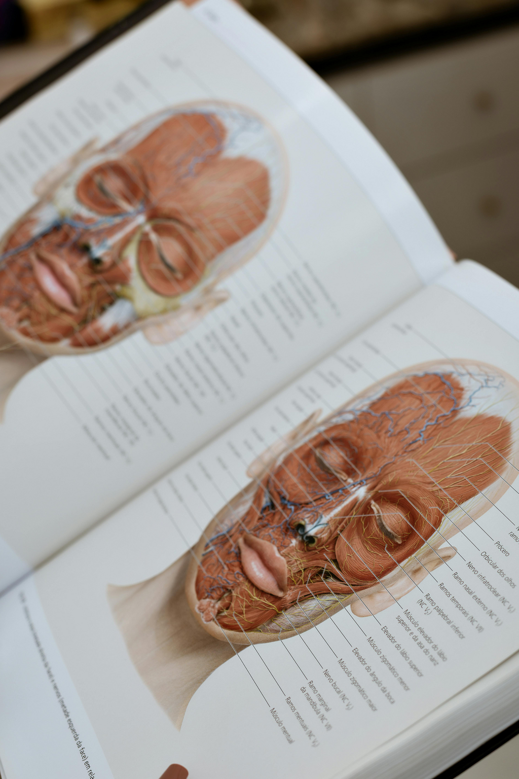 BIO 160 Introduction to Anatomy & Physiology