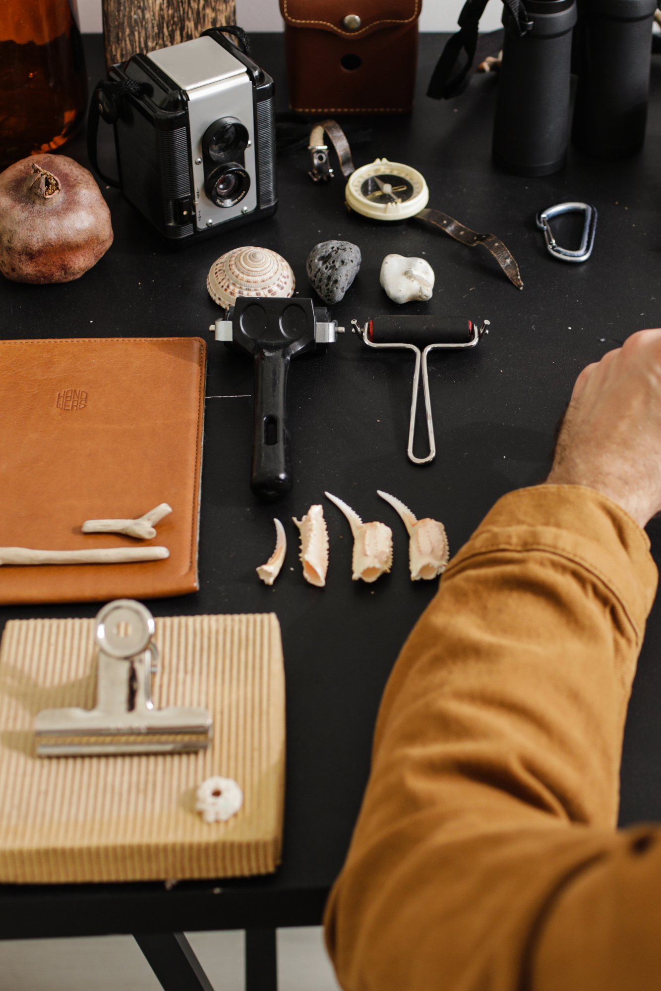 ASM 246 Paleoanthropology: Human Origins